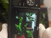 Nikon 1 S1 - nuotraukos Nr. 8