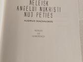 Neleisk angelui nukristi nuo peties - nuotraukos Nr. 2