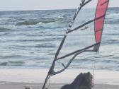 Delta tipo triratis su bure Sail Trike Whike 1.6 - nuotraukos Nr. 2