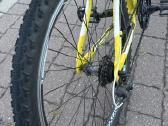 Drag dviratis all terrain - nuotraukos Nr. 3