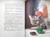 Ryžulia, Doroga v leto, Planeta č 1959, 1961, 1962 - nuotraukos Nr. 14