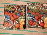 Spider-man Year by Year a Visual Chronicle - nuotraukos Nr. 12