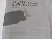 Odilė arba Oro uostų vienatvė - nuotraukos Nr. 2