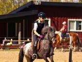 Apalūza spalvos poni kumelė - nuotraukos Nr. 2