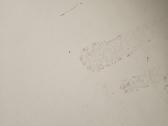 Lova mergaitei 160x80 - nuotraukos Nr. 4