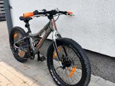 Scott Roxter 20. - nuotraukos Nr. 3
