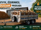 Pigiausios malkos parsivešti patiems - nuotraukos Nr. 2