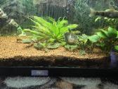 Juvel 120l su viskuom - nuotraukos Nr. 2
