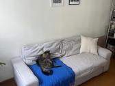 Ikea sofa lova - nuotraukos Nr. 3