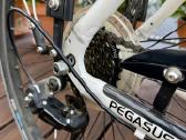 Pegasus Piazza I 55 (m-l) - nuotraukos Nr. 4