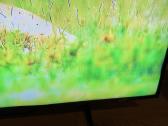 Samsung Qe50q60b 4k Qled Youtube Netflix Smart TV - nuotraukos Nr. 9