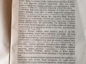 Klausė žvirblis čiulbonėlis - nuotraukos Nr. 6