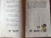 Klausė žvirblis čiulbonėlis - nuotraukos Nr. 8