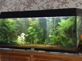 Juvel 120l su viskuom - nuotraukos Nr. 14