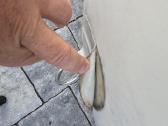 Pvc valtis Larus 320 - nuotraukos Nr. 12