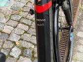 Pegasus Premio ‘Bosch elektrinis dviratis - nuotraukos Nr. 5