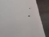 Naudotas Ikea Kritter vaikiškas staliukas - nuotraukos Nr. 5