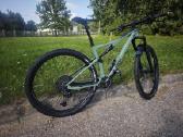 Rose Thrill Hill - nuotraukos Nr. 5