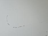 Didelis rašomasis stalas Ikea Klimpen (150x75 cm) - nuotraukos Nr. 6