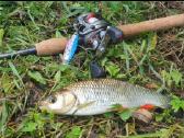 Abu Garcia Revo Alt rite - nuotraukos Nr. 6