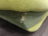 Dovanojama sofa-lova - nuotraukos Nr. 3