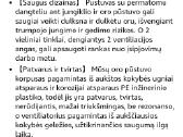 Elektrinis oro pustuvas, orapūtė,450w - nuotraukos Nr. 4