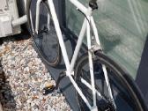Fixed single speed dviratis - nuotraukos Nr. 3