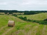 Erdvūs sklypai slėnyje, namų valda, panorama - nuotraukos Nr. 3