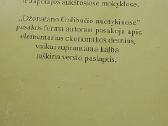 Džonatano Galibučio nuotykiai - nuotraukos Nr. 3