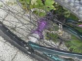 Cannondale habit 3 - nuotraukos Nr. 9