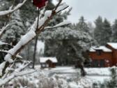 Vila su pirtimi ir džakuzi miško apsuptyje - nuotraukos Nr. 8