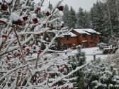 Vila su pirtimi ir džakuzi miško apsuptyje - nuotraukos Nr. 11