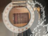 Gitara - nuotraukos Nr. 3