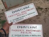 Sendaikciai,antiakvariatas - nuotraukos Nr. 38