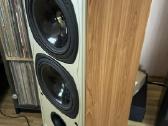Tannoy saturn 8 - nuotraukos Nr. 2