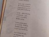 Kodėl miške švilpauti negalima - nuotraukos Nr. 4