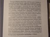 Durnių laivas - nuotraukos Nr. 7