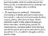 Treniruočių suoliukas - nuotraukos Nr. 7