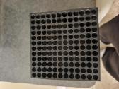 Xbox series x 1tb - nuotraukos Nr. 5
