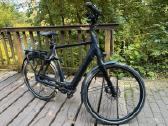 Gazelle Chamonix Shimano diržas - nuotraukos Nr. 2
