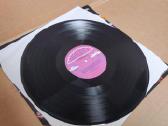 Pete Seeger, The Byrds, Rock'n'reggae Party (Rinki - nuotraukos Nr. 6