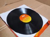 Pete Seeger, The Byrds, Rock'n'reggae Party (Rinki - nuotraukos Nr. 9