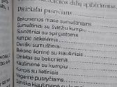 Viskas iš bekono - nuotraukos Nr. 4