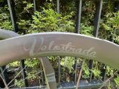Karboniniai planeto ratai Velostrada - nuotraukos Nr. 3