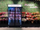 Flower Cooler - nuotraukos Nr. 3
