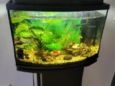 Parduodam akvariumą su spintele - nuotraukos Nr. 4
