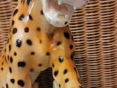 Porcelianinis leopardas - nuotraukos Nr. 4