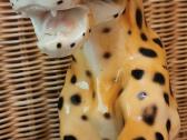 Porcelianinis leopardas - nuotraukos Nr. 5