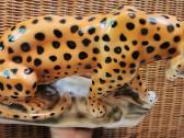 Porcelianinis leopardas - nuotraukos Nr. 7