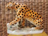 Porcelianinis leopardas - nuotraukos Nr. 2